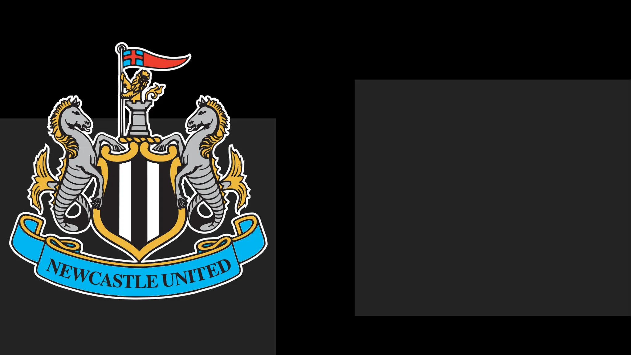 NUFC Issue Apology to Followers Following Matchday Dispute