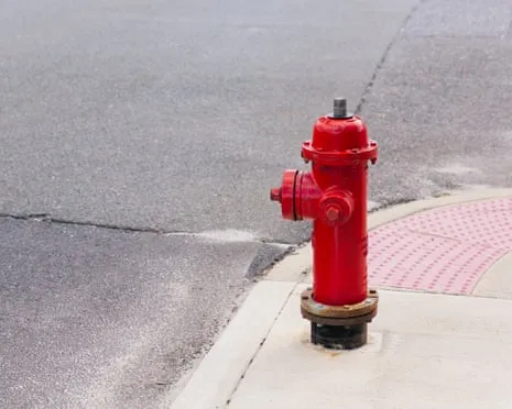 During 2009, Which famous figure Smashed a Luxury SUV Into a Water Plug?