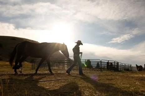 Discover the American Cowgirls Redefining Modern Ranching