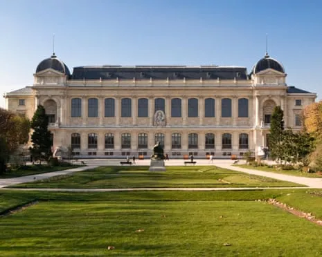 Priceless Golden Specimens Taken in Bold Heist at France's Natural History Institution