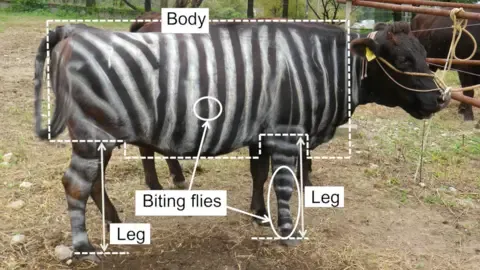 Zebra Cows and Teflon Food Claim Tongue-in-Cheek Science Awards